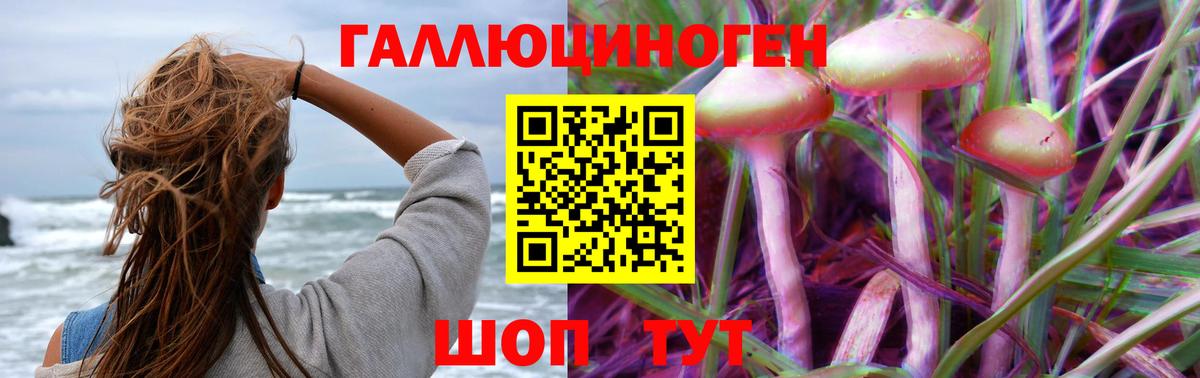 Йошкар-Ола  Галлюциногенные грибы прущие грибы  Вход с VPN 